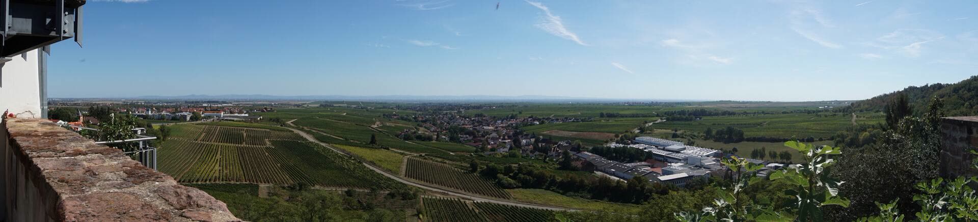 Panorama über das Rheintal mit Weinbergen und Orten in der Ebene